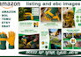 do amazon listing images, photo editing, bol listing images